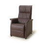 Wales-relaxfauteuil-De-Toekomst